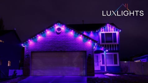 purple permanent Christmas lights