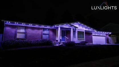 blue and purple permanent Christmas lights