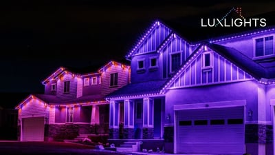 purple and pink permanent Christmas lights